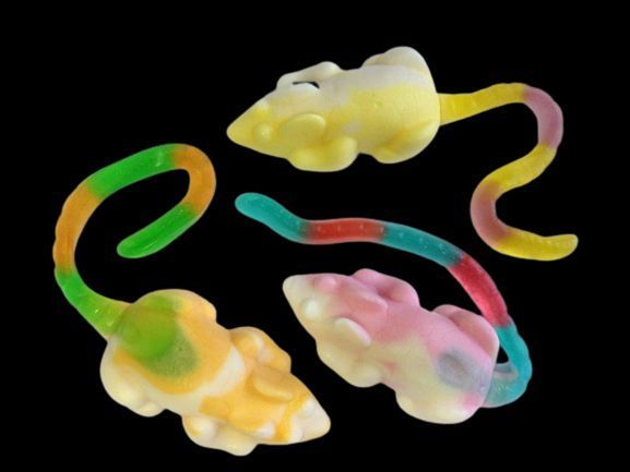 Жувальні цукерки мармелад Trolli Play Mouse мишки без глютену і лактози, 1кг, 6 уп/ящ 1872094018 фото